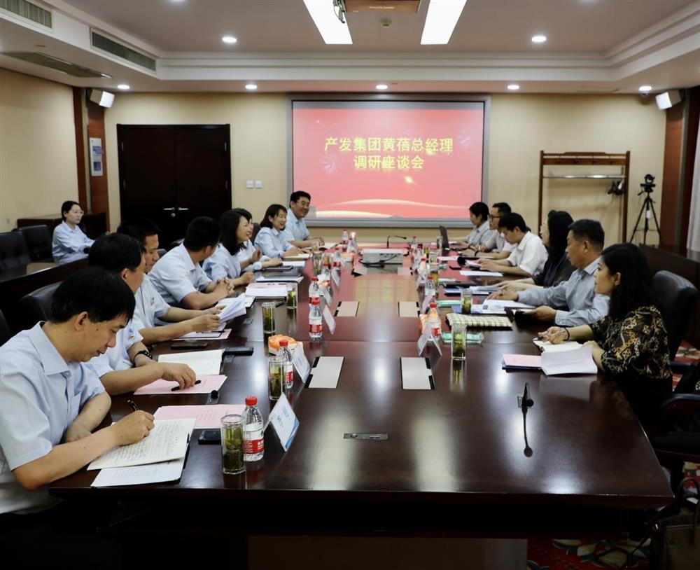 集團(tuán)黨委副書記、總經(jīng)理黃蓓帶隊(duì)調(diào)研濟(jì)南市工程咨詢院