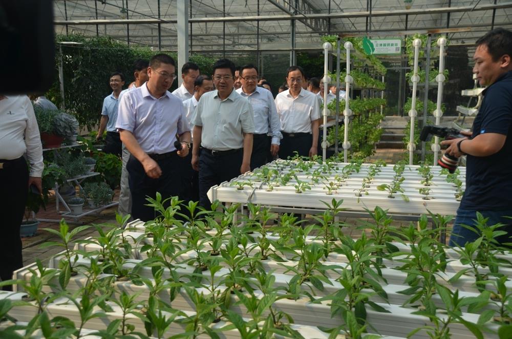 科技助農(nóng)，播撒光的種子  精準(zhǔn)扶貧，助力鄉(xiāng)村振興