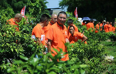 震驚：50元買一只紅蜘蛛？!——這一次，果農(nóng)們有話要說