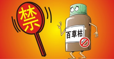 百草枯將被禁用??？滅生性除草劑市場進入洗牌期，誰能搶占先機？                   來源于  農資與市場  王奕